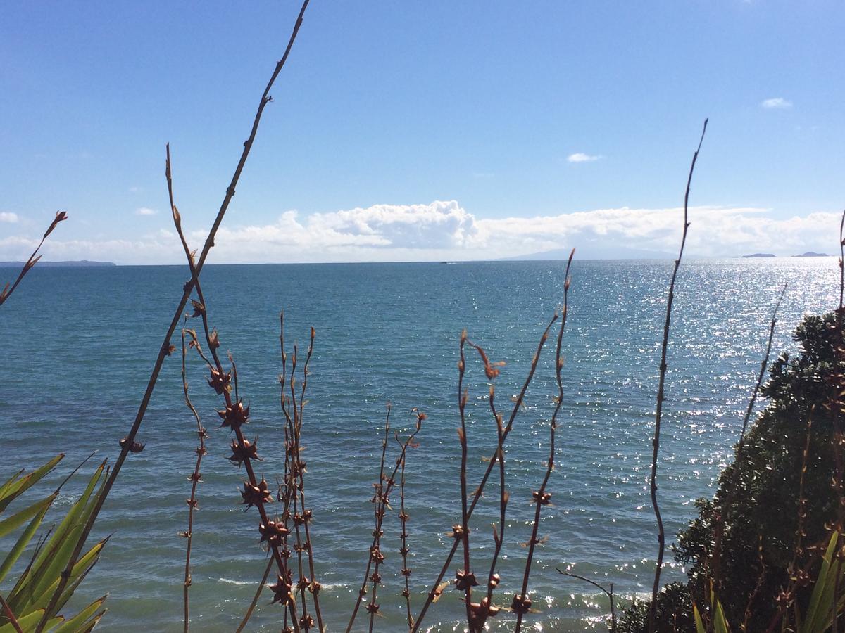 Beach Lodge Auckland Ngoại thất bức ảnh